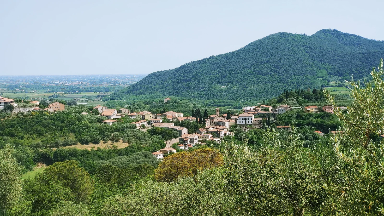 Il borgo di Arquà Petrarca, sede di Scarpon